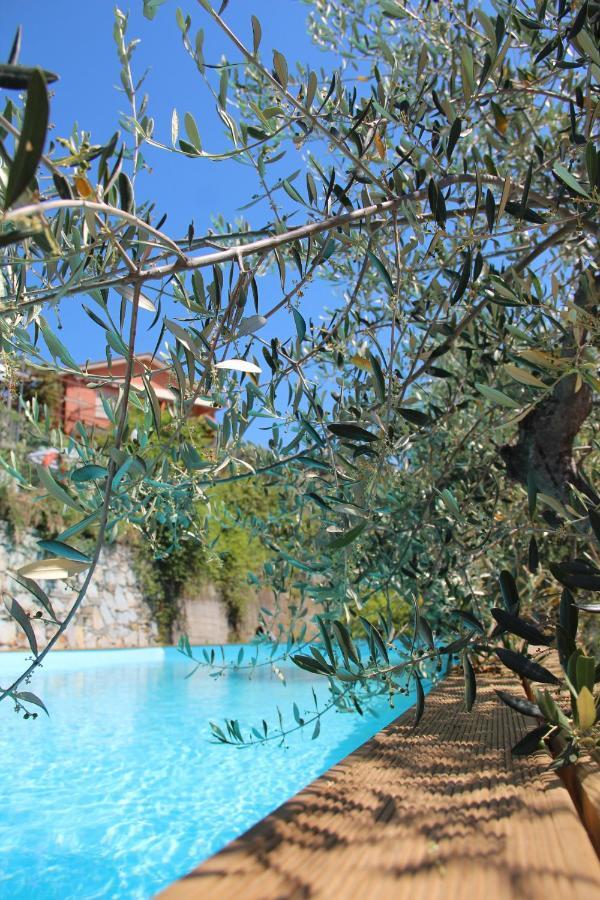 Agriturismo Olivarancio Leivi Екстериор снимка